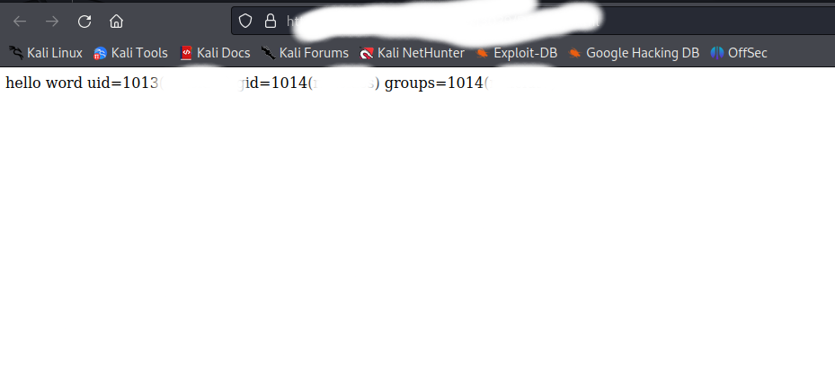 Exploitation RCE